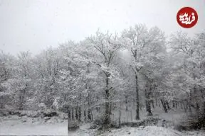 برف و باران و باد در ۲۸ استان؛ احتمال آبگرفتگی معابر
