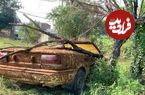 ببینید؛ بازسازی کامل، تعمیر و رنگ آمیزی یک خودرو که 30 سال رها شده بود!