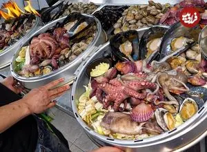 ببینید| غذای خیابانی در کره؛ پخت غذاهای محبوب با صدف و اختاپوس در سئول