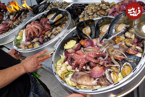 ببینید| غذای خیابانی در کره؛ پخت غذاهای محبوب با صدف و اختاپوس در سئول