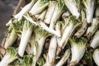  ۷ مورد از خواص شگفت‌انگیز کنگر که احتمالا نمی دانستید