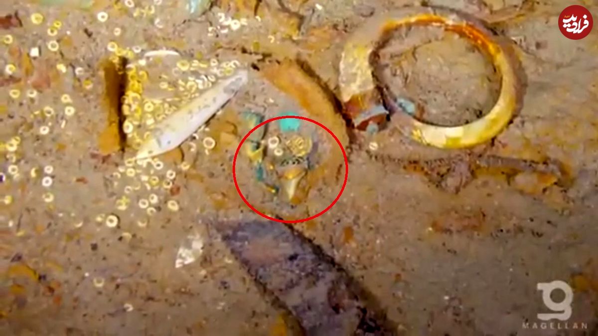یک کشف عجیب در کشتی «تایتانیک»؛ دندان کوسۀ ۲۰ میلیون ساله! 