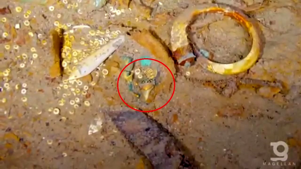 یک کشف عجیب در کشتی «تایتانیک»؛ دندان کوسۀ ۲۰ میلیون ساله! 