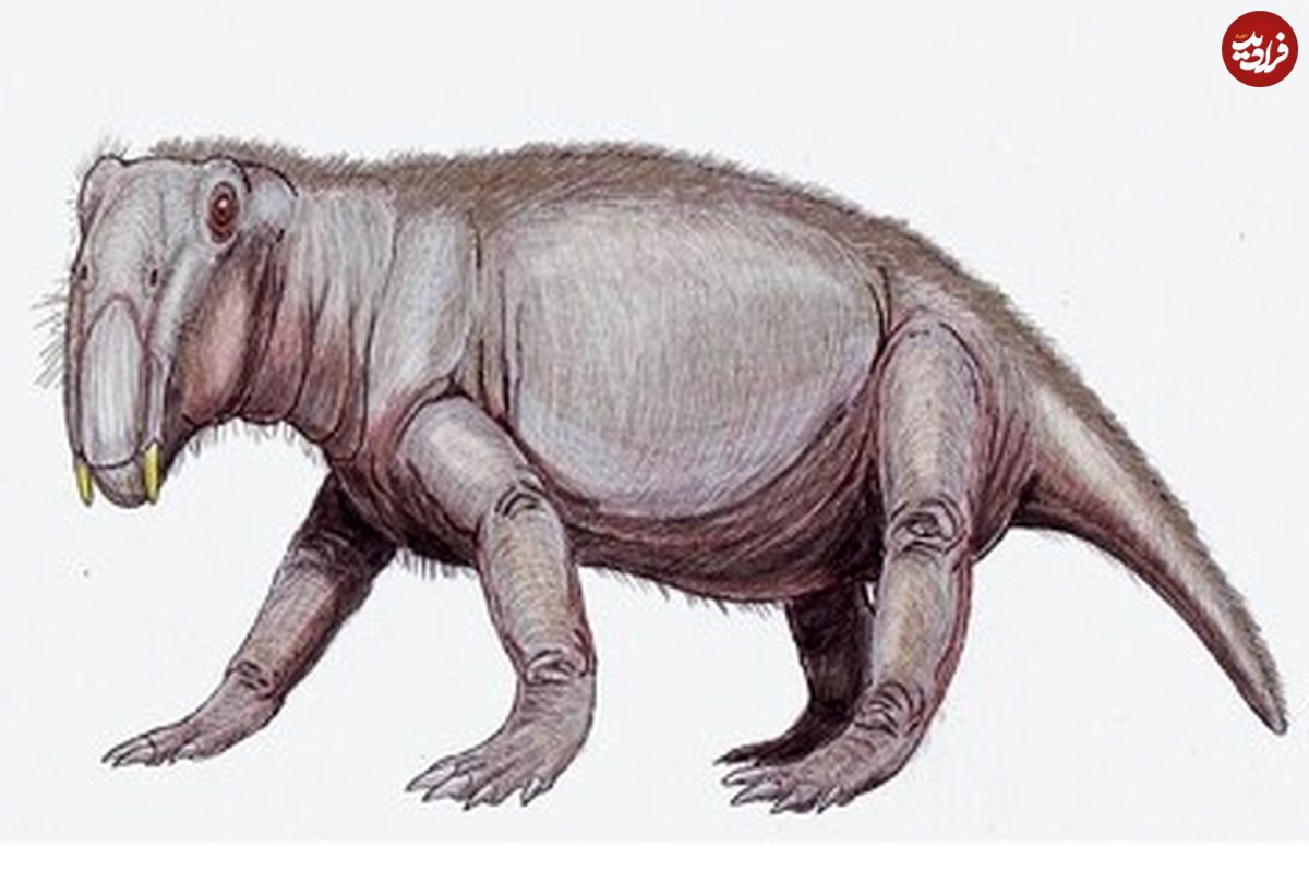 (عکس) قیافه عجیب و ترسناک خوک دوران دایناسورها 