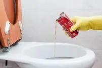 ۱۲ کاربرد جادویی و کاربردی نوشابه سیاه در خانه تکانی شب عید!