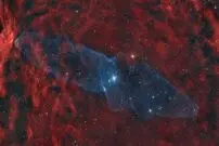 عکس روز ناسا از سحابی ماهی مرکب