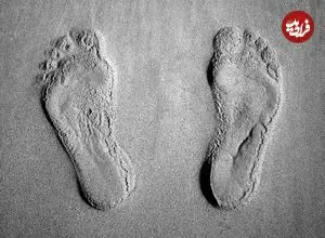 کشف ردپای ۱۱۵ هزار ساله در جایی که نباید باشد!