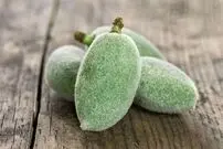 خواص چغاله بادام که باید بدانید!