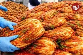 ببینید| مراحل دیدنی تولید کیمچی در کارخانه ای مدرن در کره جنوبی