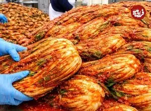 ببینید| مراحل دیدنی تولید کیمچی در کارخانه ای مدرن در کره جنوبی