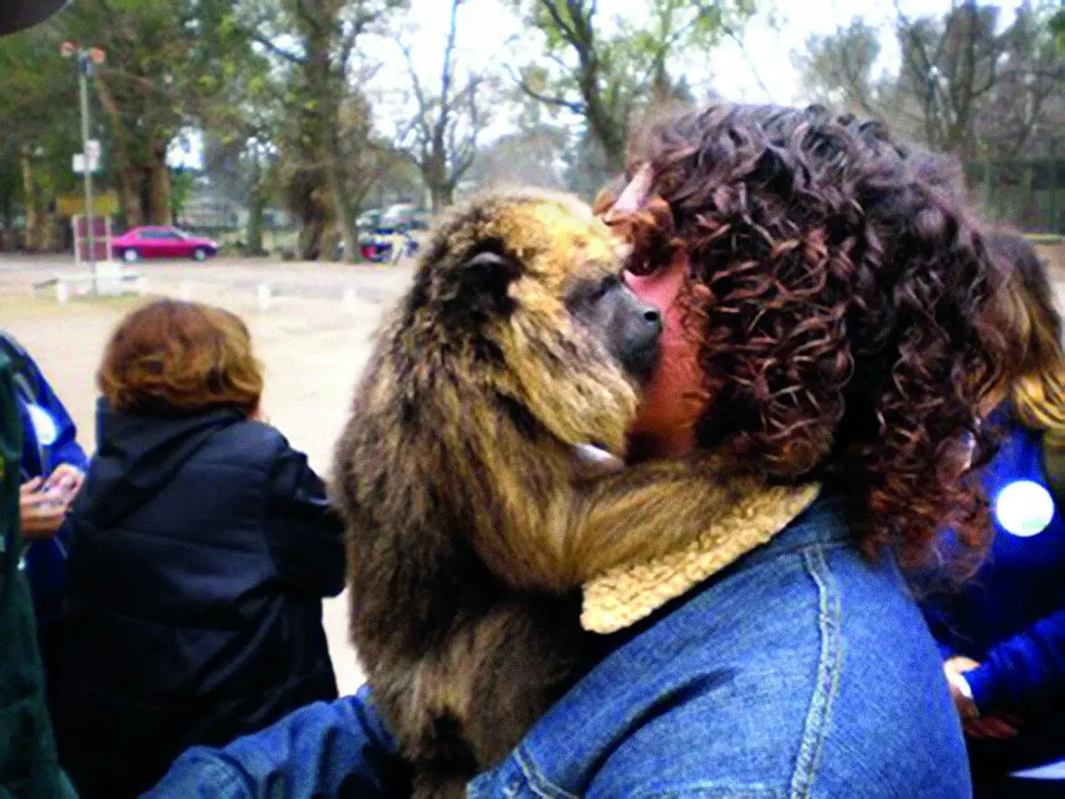 اینجا عجیب ترین و دلهره‌ آورترین باغ وحش جهان است