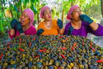 ببینید| غذای روستایی در سنگاپور؛ پخت خوراک حلزون با شیر و فلفل توسط 3 بانوی روستایی