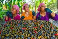 ببینید| غذای روستایی در سنگاپور؛ پخت خوراک حلزون با شیر و فلفل توسط 3 بانوی روستایی