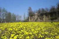 (تصاویر) زیباترین و نزدیک‌ترین شهر مازندران به تهران برای رفتن به گردش و تفریح