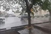 (ویدیو) هشدار هواشناسی: در طبیعت کمپ نزنید