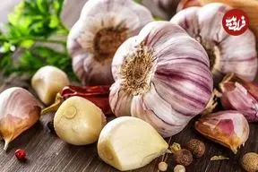 مصرف سیر خام ناشتا برای لاغری واقعا موثر است؟