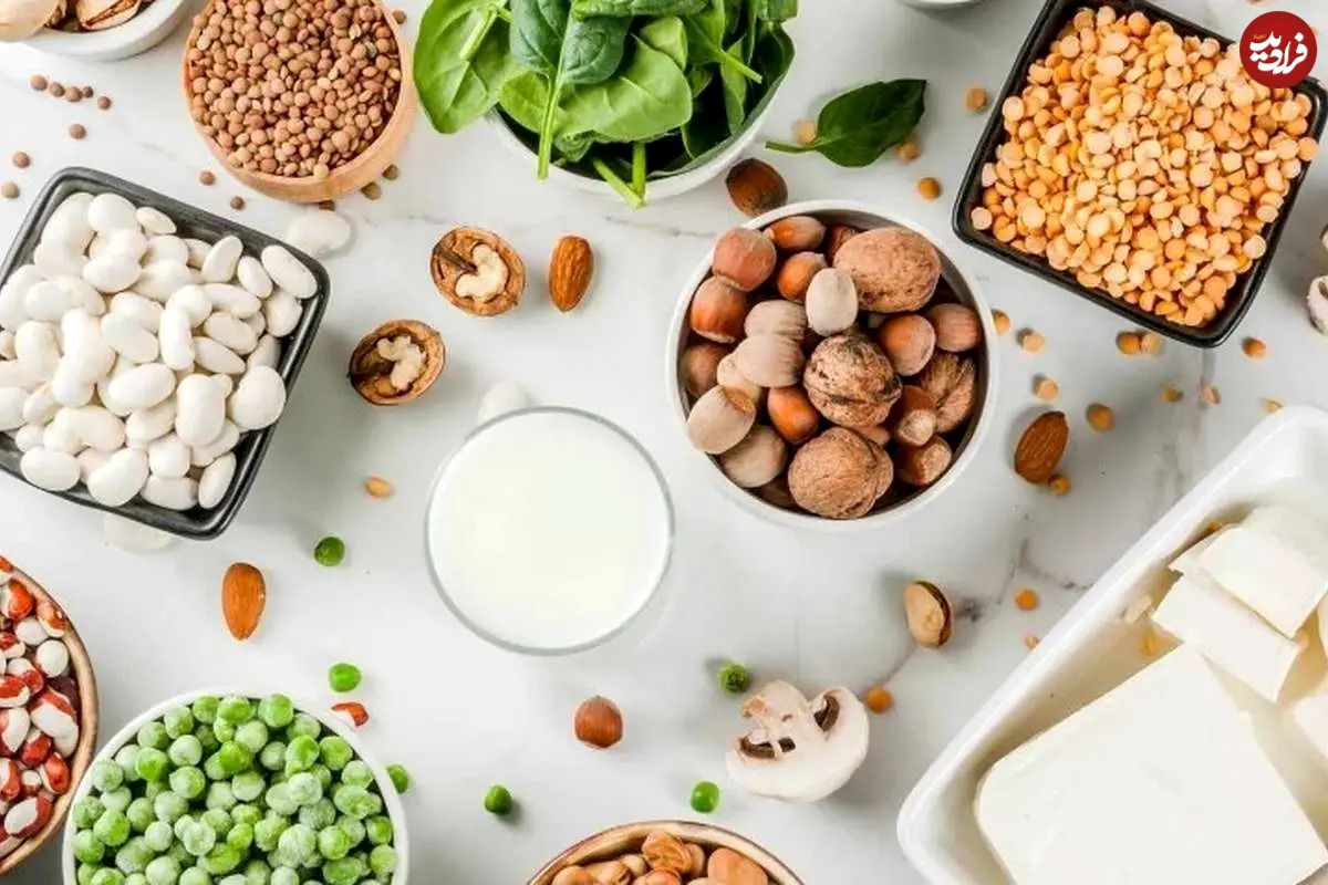 ۱۴ منبع پروتئین گیاهی عالی