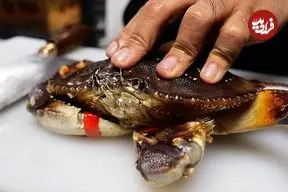 ببینید| غذای خیابانی در آمریکا؛ پخت یک غذای خاص با خرچنگ دانگنس در نیویورک