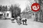 عکس| سفر به تهران قدیم؛ «الاغ‌سواری یک خانواده» در رستم‌آباد شمیران؛ سال 1308