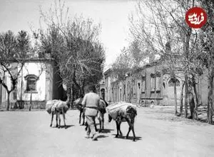 عکس| سفر به تهران قدیم؛ «الاغ‌سواری یک خانواده» در رستم‌آباد شمیران؛ سال 1308