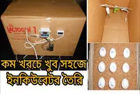 (ویدئو) نحوه ساخت یک دستگاه جوجه کشی ارزان 9 عددی با کمک کارتن و لامپ