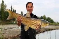 ببینید| غذای روستایی در چین؛ صید دو ماهی بزرگ و پخت غذا با آنها