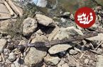 مهمترین اکتشافات باستانی یک ماه اخیر؛ از «نگهبان سنگی» تا «کوزه‌های زیر ریشۀ درخت»