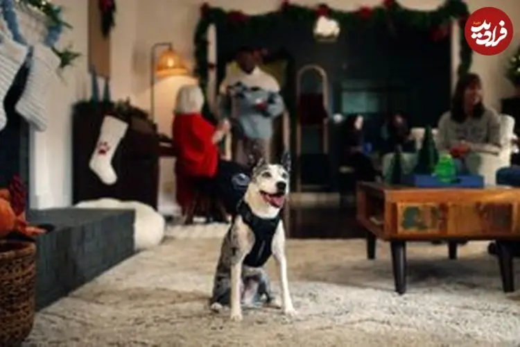 کارگردان جدید هالیوود یک سگ است؟ وقتی یک تبلیغ را «میا» کارگردانی می‌کند