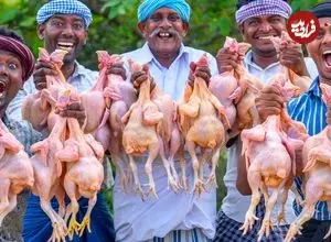 ببینید| غذای روستایی در هند؛ پخت کاری با مرغ و سبزیجات در طبیعت روستا