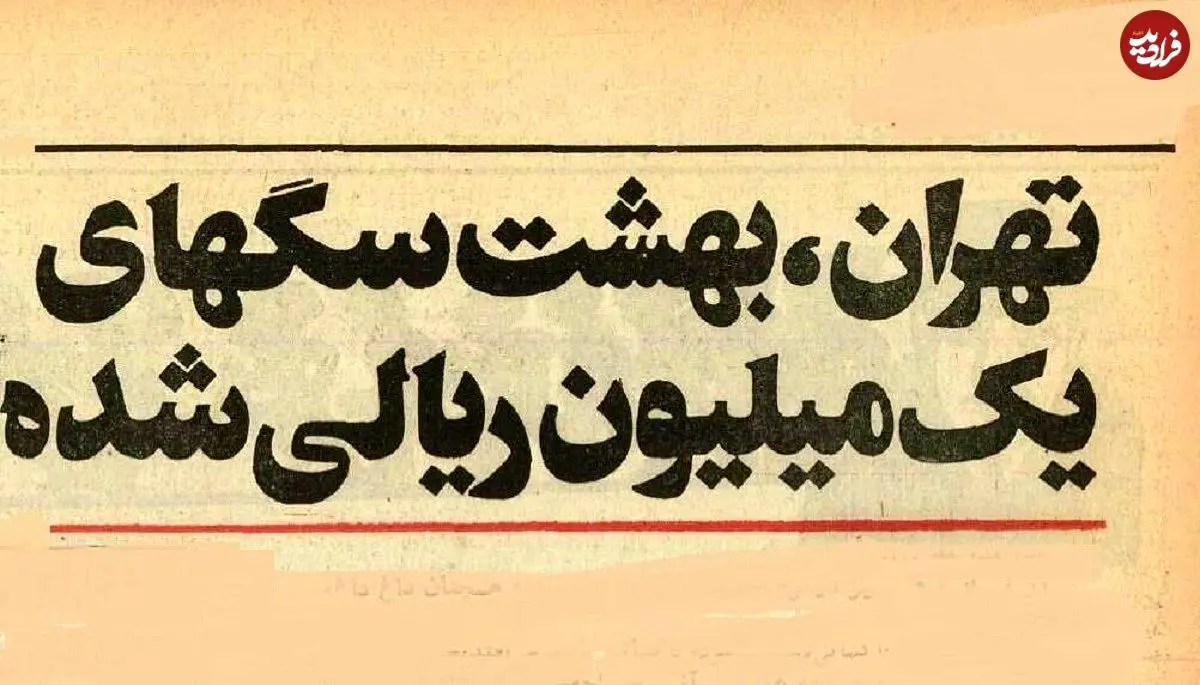 تصاویر؛ سفر در زمان؛ ۵۰ سال پیش سگ‌های خانگی تهران چه وضعی داشتند؟