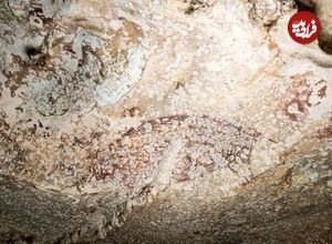(تصاویر) کشف قدیمی‌ترین غارنگاره جهان 