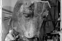 عکس| گاو سنگی هخامنشی در شیکاگو است!