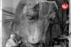 عکس| گاو سنگی هخامنشی در شیکاگو است!