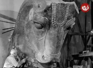 عکس| گاو سنگی هخامنشی در شیکاگو است!