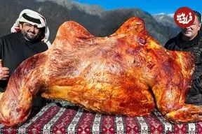 ببینید| غذای روستایی در آذربایجان؛ کباب کردن یک شتر کامل روی آتش
