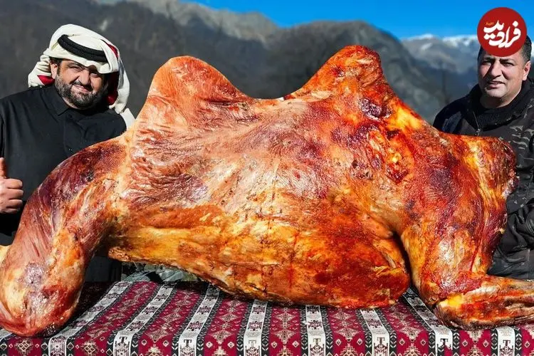 ببینید| غذای روستایی در آذربایجان؛ کباب کردن یک شتر کامل روی آتش