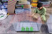 ببینید| مراحل تولید قفس پرنده در کارگاهی در پاکستان