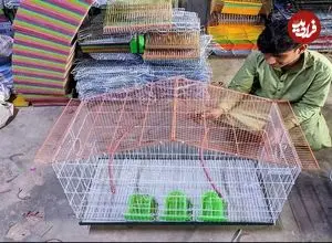 ببینید| مراحل تولید قفس پرنده در کارگاهی در پاکستان