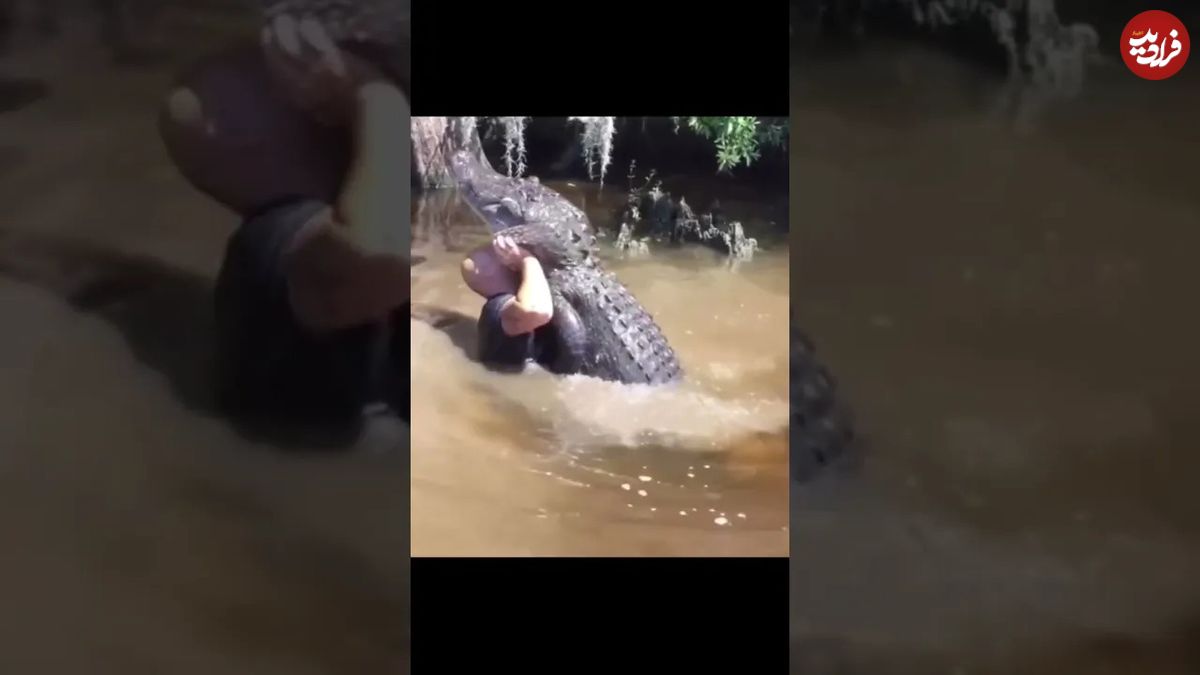  (ویدئو) کشتی گرفتن باورنکردنی این مرد با تمساح وسط رودخانه