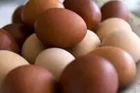 یک باور غلط درباره تخم‌مرغ قهوه‌ای