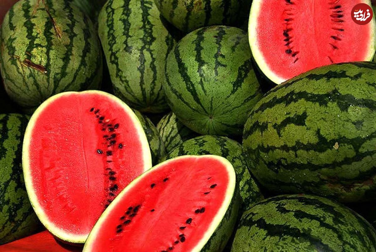 آیا صادرات هندوانه به معنای صادرات غیرمستقیم آب است؟
