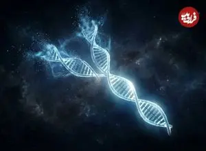 کروموزوم Y در حال نابودی است؟ حقیقت علمی درباره آینده مردان