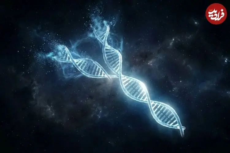 کروموزوم Y در حال نابودی است؟ حقیقت علمی درباره آینده مردان