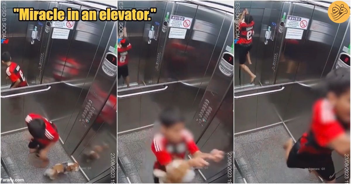 (ویدئو) معجزه در آسانسور؛ پسر ۱۱ ساله سگ خود را نجات داد