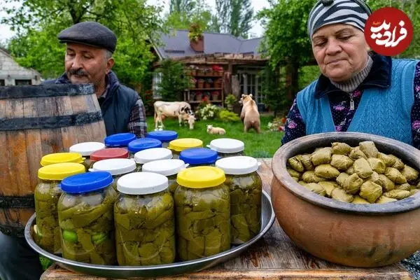 ببینید| غذای روستایی در آذربایجان؛ تهیه دلمه و ترشی برگ مو