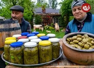 ببینید| غذای روستایی در آذربایجان؛ تهیه دلمه و ترشی برگ مو