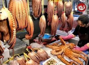 ببینید| غذای خیابانی در کره؛ هشت پای بخار پز شده، صدف و ماهی مرکب کبابی در سئول