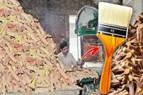 ببینید| فرآیند دیدنی تولید انبوه قلم‌موهای نقاشی در پاکستان