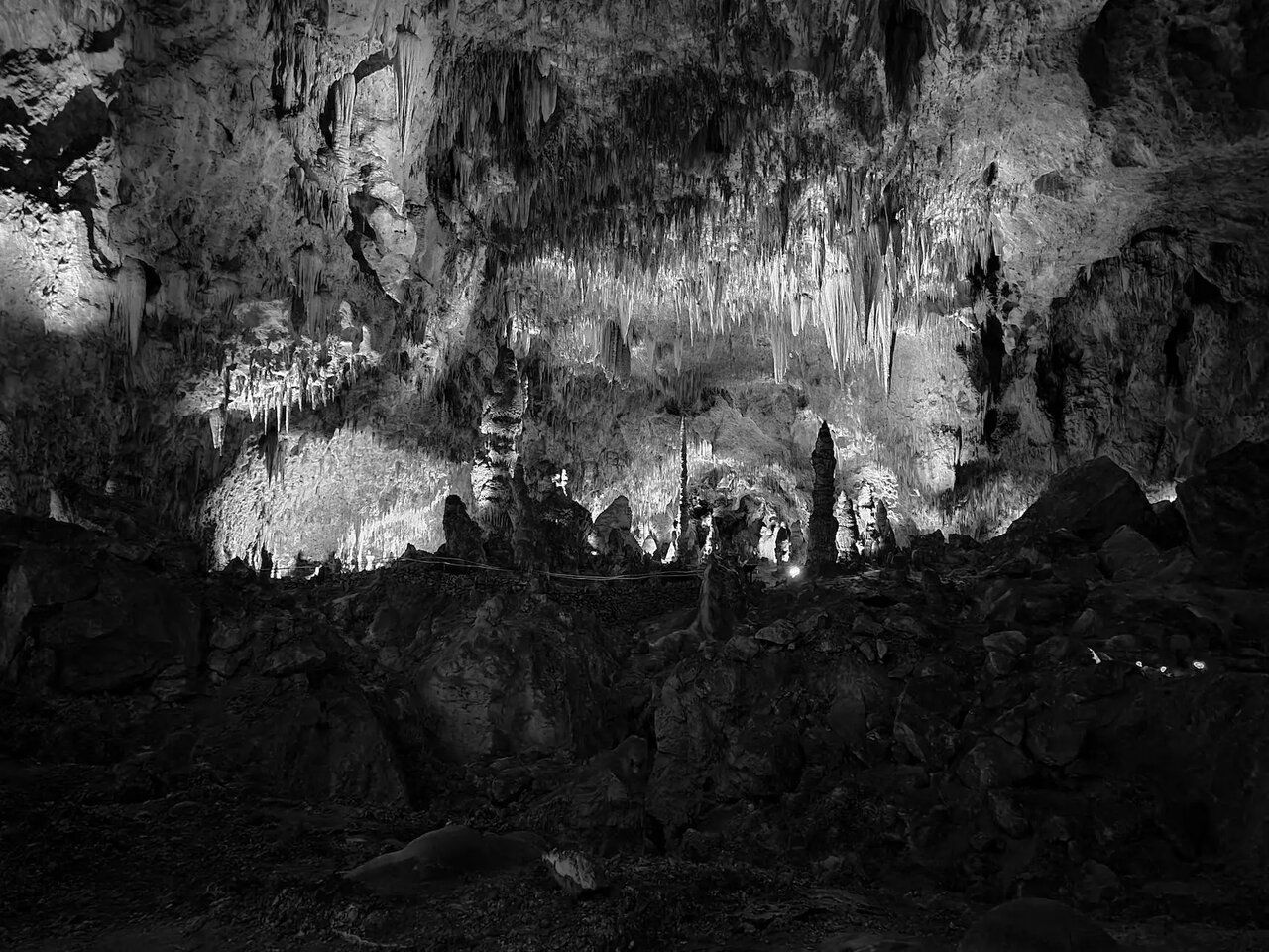 (عکس) موجودات عجیب غار 5میلیون ساله