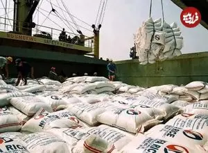 قیمت برنج سه‌برابر می‌شود؟